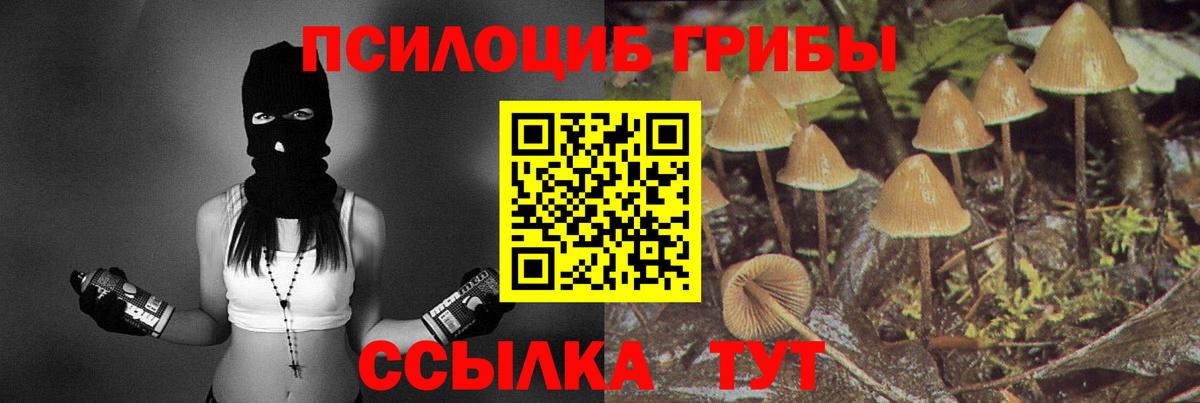 Галлюциногенные грибы ЛСД  Галлюциногенные грибы Psilocybine cubensis  Вход с VPN  Ревда 